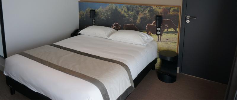 The Originals Relais Hotel Saint-Roch Salzuit Luaran gambar
